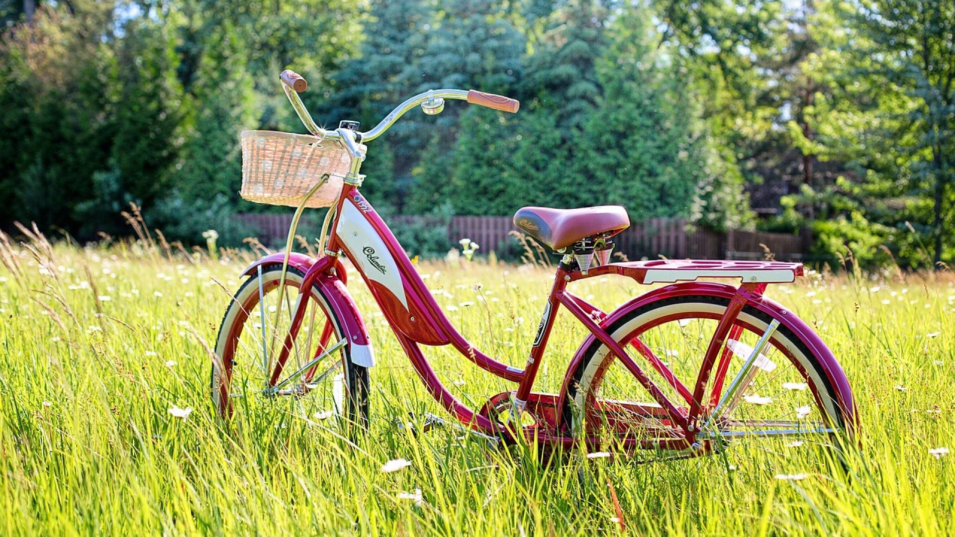 Pourquoi passer au vélo électrique