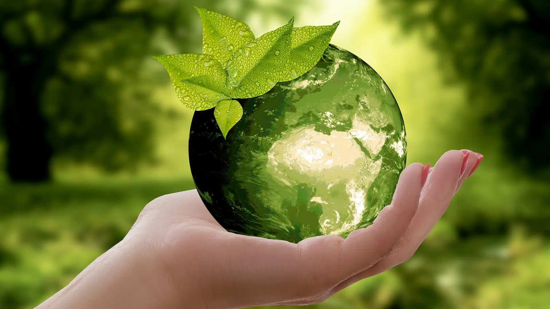 Recyclage des déchets industriels banals : enjeux et pratiques